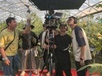 美女模特：靠颜值和身体致富的最高境地(组图)-2024年东北三省爆火的10大网红排名这个期间机缘太多了