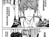 新网球王子漫画,巅峰对决，青春热血再燃战火