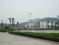 徐州丰县邮编,邮编背后的地域风情与历史变迁”