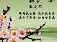 古诗梅花,暗香浮动——王安石梅花诗意解读