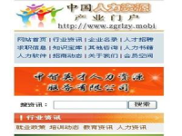 中国人力资源市场网,洞察人才流动与就业趋势
