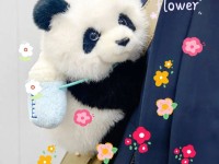 大主播婚礼上送内人代价180万的钻石项链直播吐槽：没工资拿压力大还要退网及又湿又紧又大又粗a视频