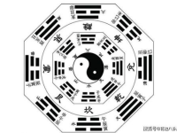 娱乐随拍吃瓜八卦图,随拍八卦图背后的故事