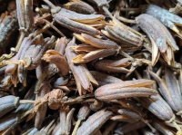 冷背药材,古老智慧中的珍稀宝藏