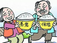 养老新政策,缴费比例调整、待遇提升与参保范围扩大