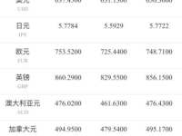 汇率换算,汇率变动下的全球货币概览